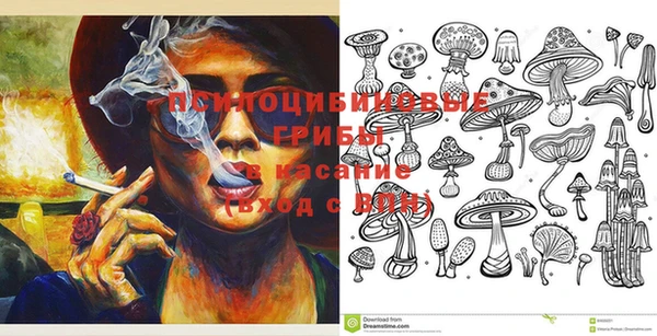 гашик Белоозёрский