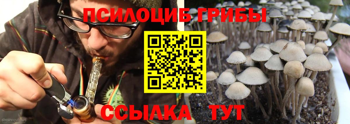 Верхний Уфалей  Галлюциногенные грибы Cubensis  Вход с VPN  Псилоцибиновые грибы Psilocybine cubensis 